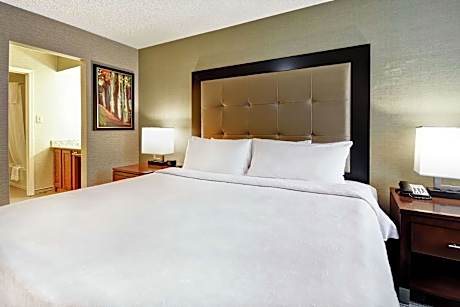 1 King Bed 1 Bedroom Suite Nonsmoking