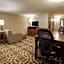 Drury Plaza Hotel Pittsburgh Downtown