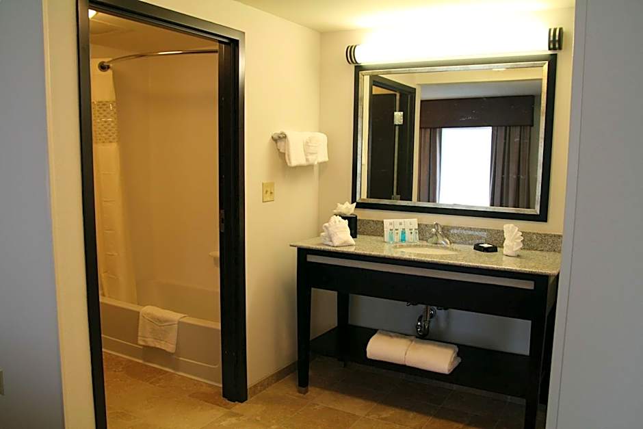 Hampton Inn By Hilton And Suites Detroit/Airport-Romulus