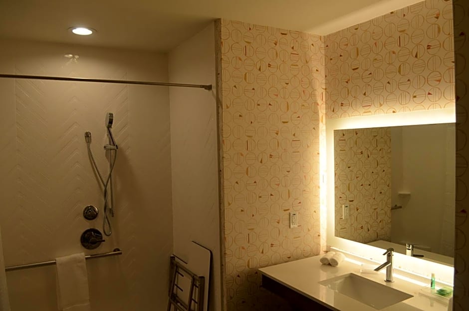 Holiday Inn - NW Houston Beltway 8