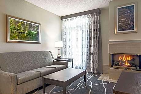 King Suite with Roll-In and Transfer Shower  - Accessible/Non-Smoking
