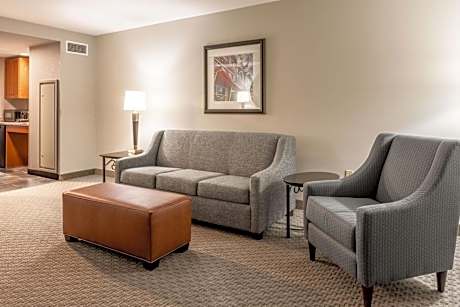 Queen Suite with Sofa Bed - Accessible, Tub