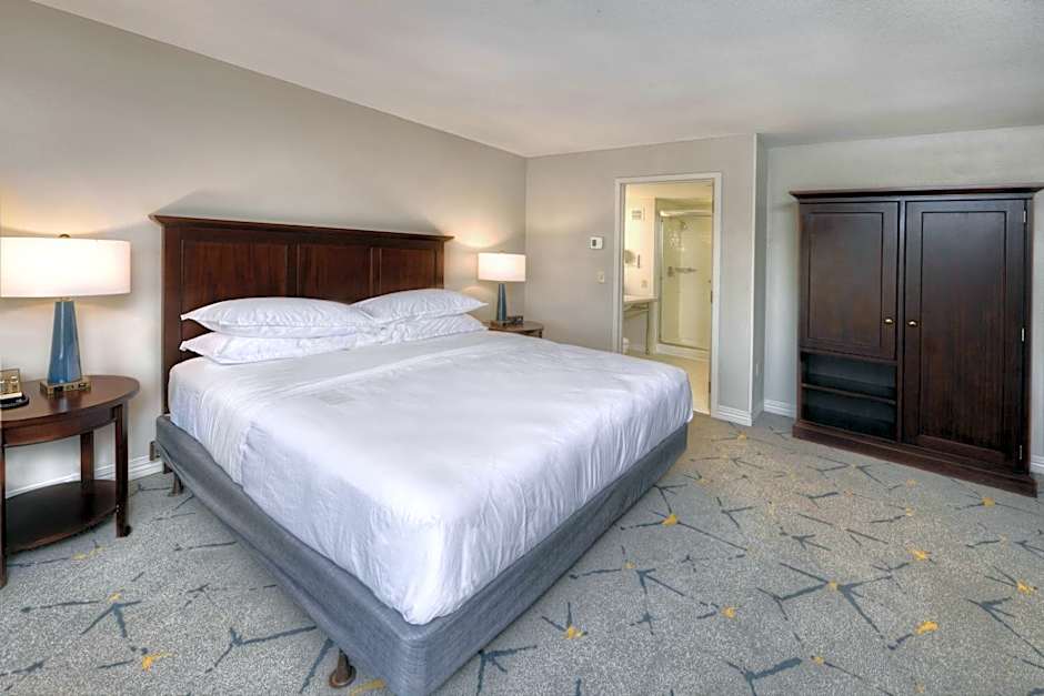 Sheraton Baltimore Washington Airport Hotel - BWI