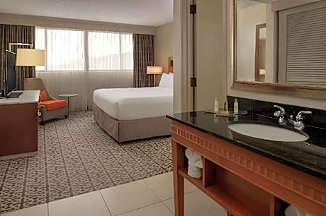 1 King Presidential Suite Non-Smoking