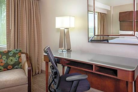 Junior Suite, Junior Suite, 1 King, Sofa bed