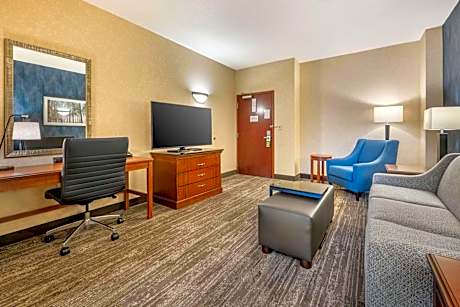 Queen Suite with Sofa Bed