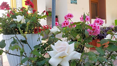 Vila Renato Ksamil