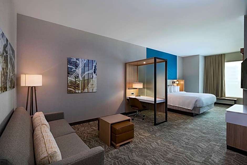 SpringHill Suites by Marriott Waco