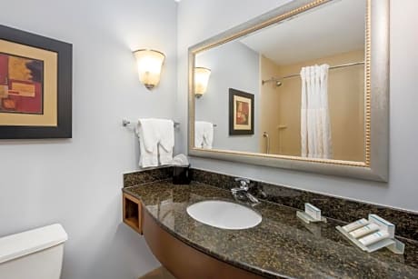 2 Queen Mobility Accessible Bathtub
