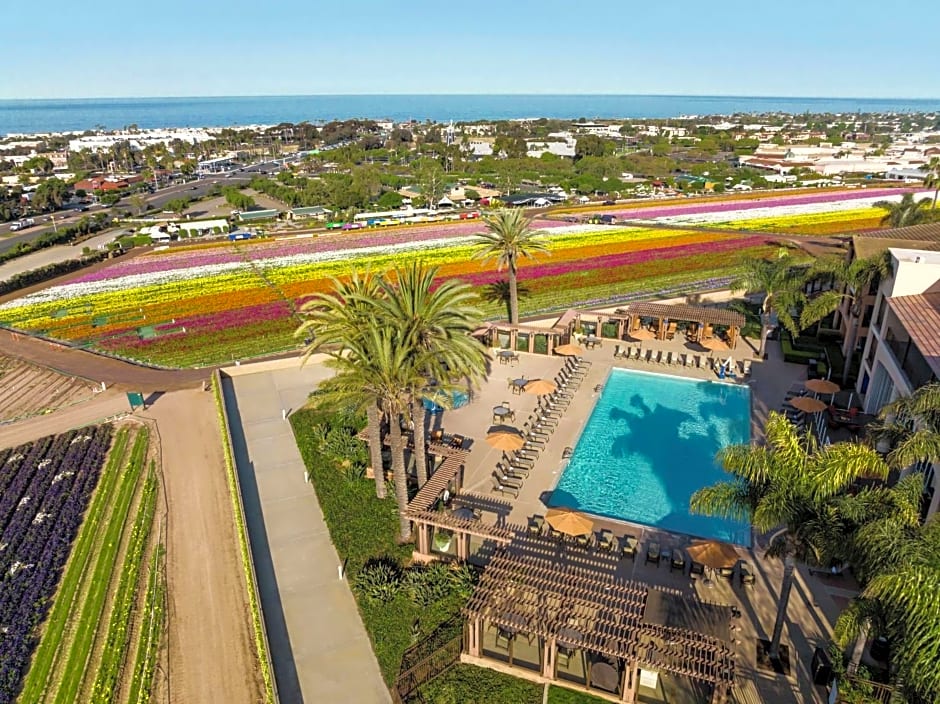 The Cassara Carlsbad, Tapestry Collection by Hilton