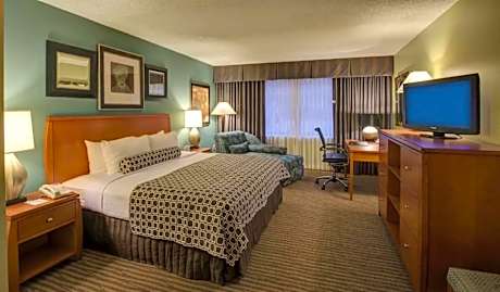 1 Queen Bed  Mobility Accessible Room  Non-Smoking