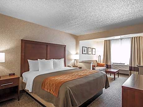 1 King Bed, Suite, Nonsmoking