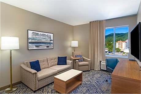 One-Bedroom King Suite