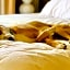 Sonesta Simply Suites Houston Galleria