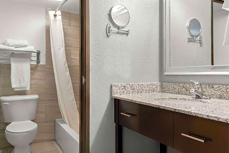 Best Western PLUS Flint Airport Inn & Suites