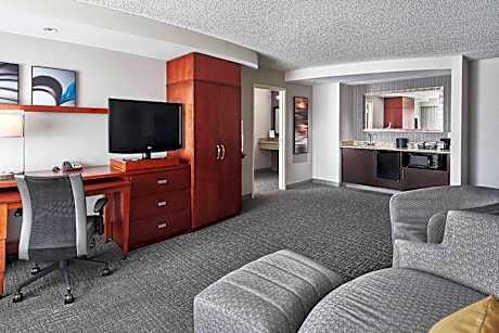 One-Bedroom King Suite