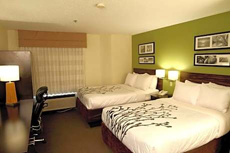 Standard Double Room with Two Double Beds - Non-Smoking