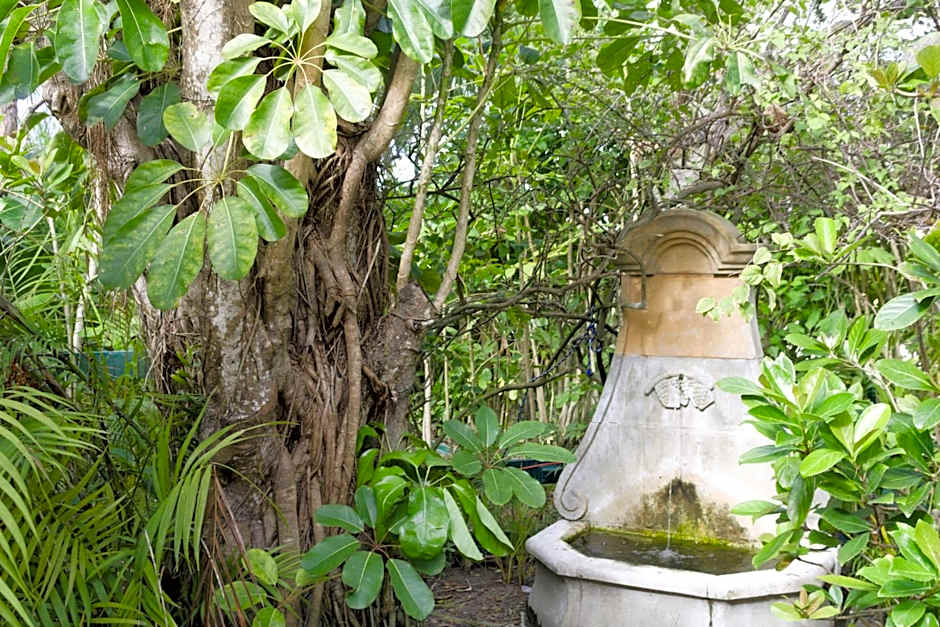 The Caribbean Court Boutique Hotel