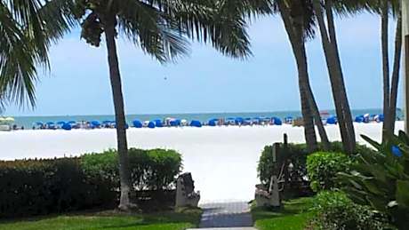 Always Summer On a White Sandy Beach