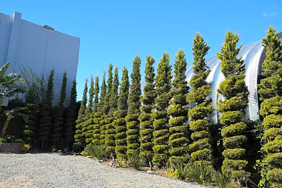 Hotel Pacific