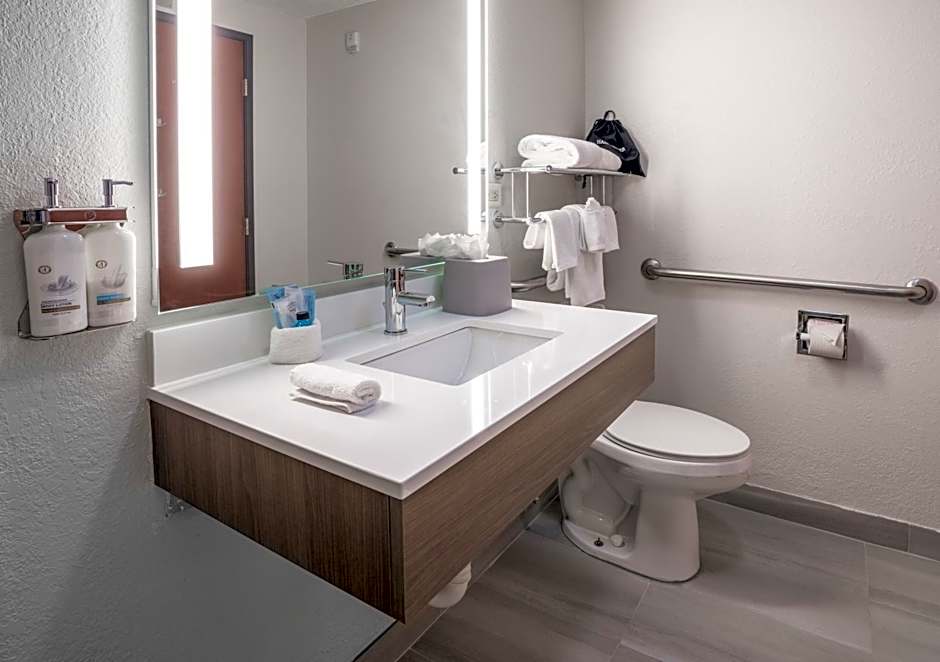 Holiday Inn Express Hotel & Suites Orange City