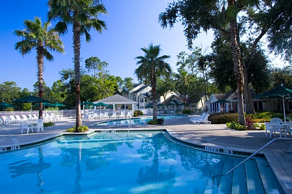 Hilton Kissimmee Fl