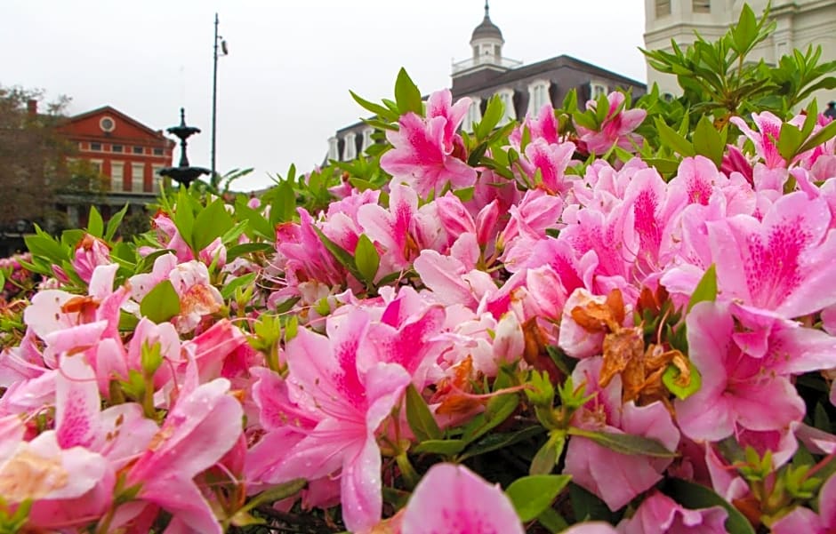Holiday Inn Express New Orleans - St Charles, an IHG Hotel