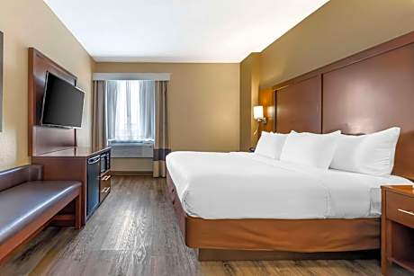 1 King Bed, Suite, Nonsmoking, Accessible