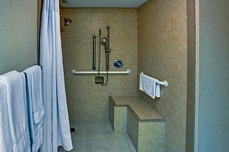 King Room - Mobility Access/Hearing Accessible