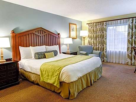Standard King Room - Non-Smoking