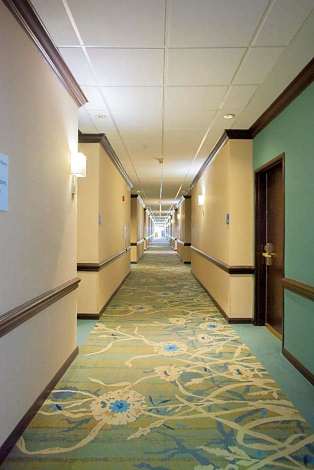Holiday Inn & Suites Houston North-Spring Area