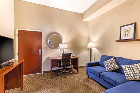 1 King Bed, Suite, Nonsmoking