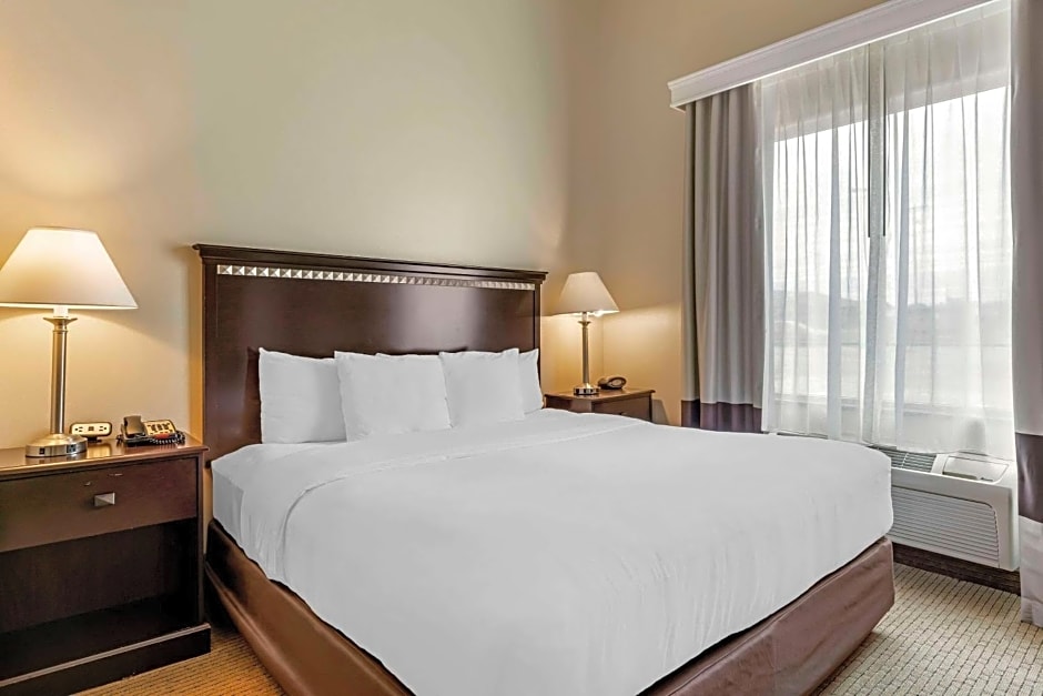 Comfort Suites Palestine