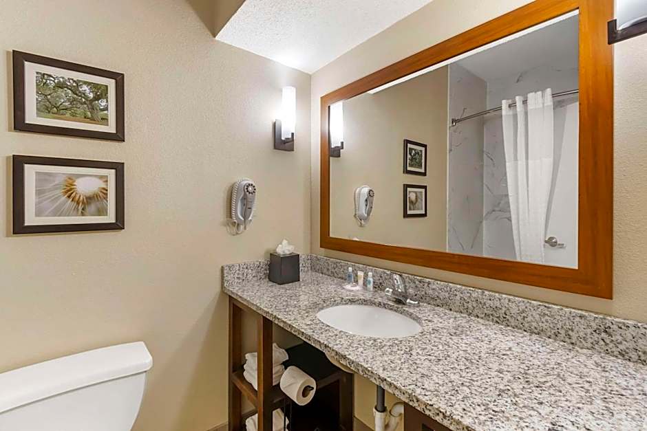 Comfort Suites At The University