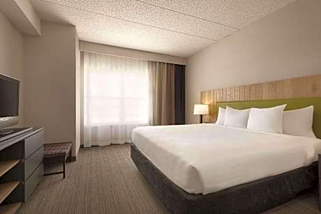 1 King Bed, Suite, Nonsmoking