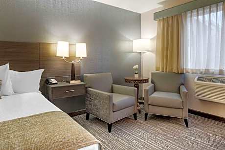 1 Queen Mobility Accessible Bathtub Microwave And Refrigerator Wi-Fi Non-Smoking Full Breakfast