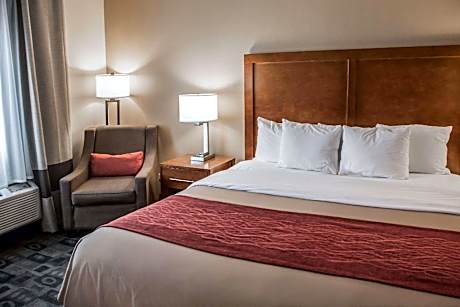 1 King Bed Nonsmoking