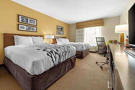 2 Queen Beds, Nonsmoking
