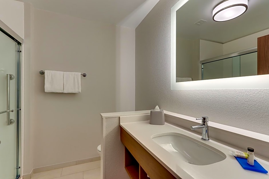 Holiday Inn Express & Suites Roanoke - Civic Center