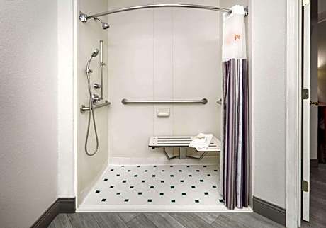 King Room with Bath Tub - Mobility Accessible/Non-Smoking