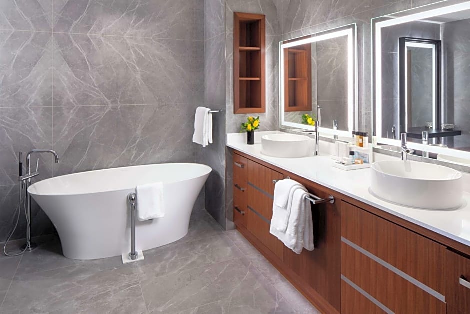 Hilton Rochester Mayo Clinic Area