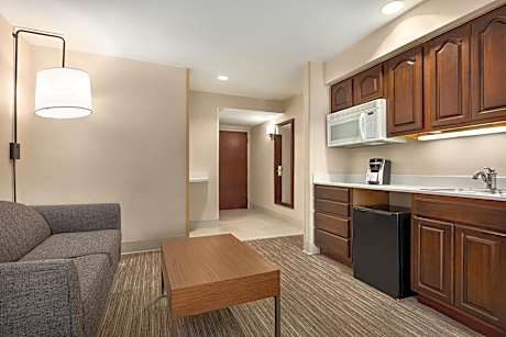 1 King Bed Suite Extra Floor Space