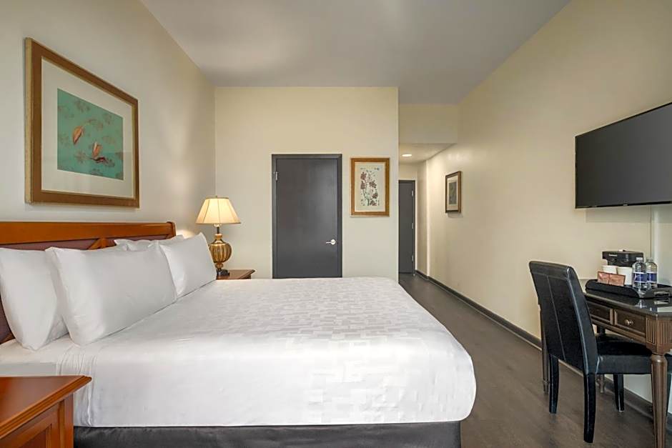 Le Richelieu Hotel in the French Quarter