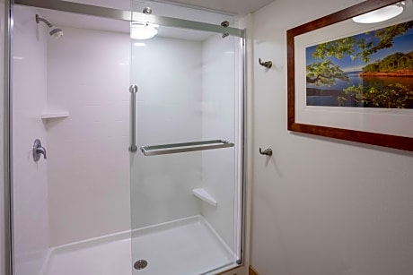 1 King 1 Bedroom Suite Lake View Wetbar Ns
