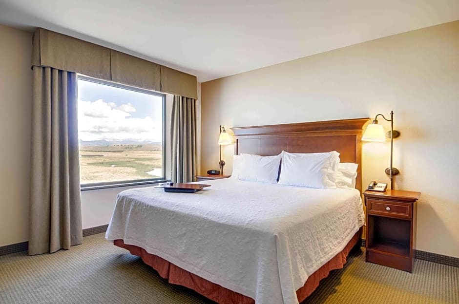 Hampton Inn By Hilton & Suites Pinedale