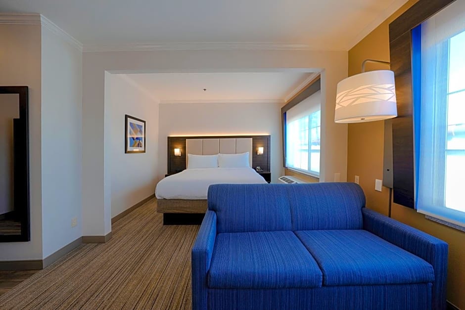 HOLIDAY INN EXPRESS & SUITES SANTA CLARA - SILICON VALLEY