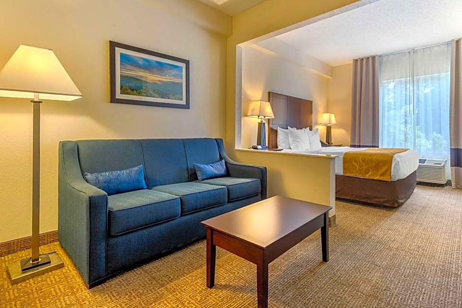 Comfort Suites Gastonia - Charlotte