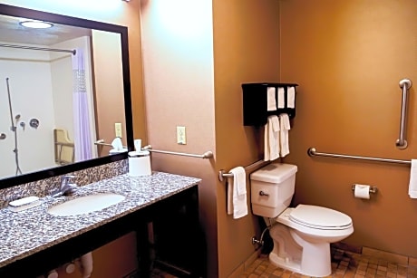 1 King Mobility/Hearing Acc Ri Shower Nosmok