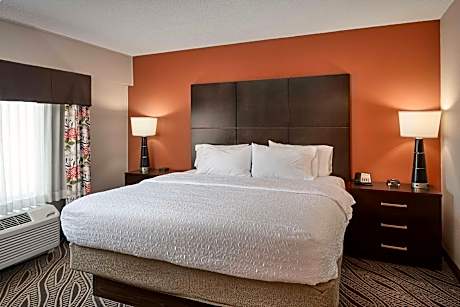 1 King 2 Room Suite Other Non-Smoking