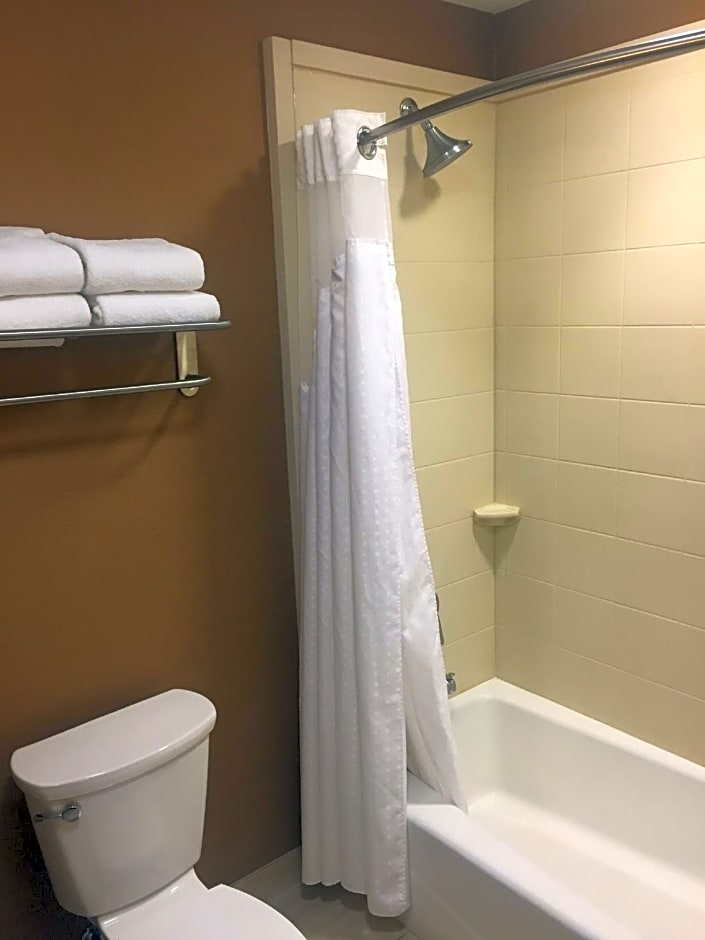 Holiday Inn Express & Suites Salt Lake City South-Murray